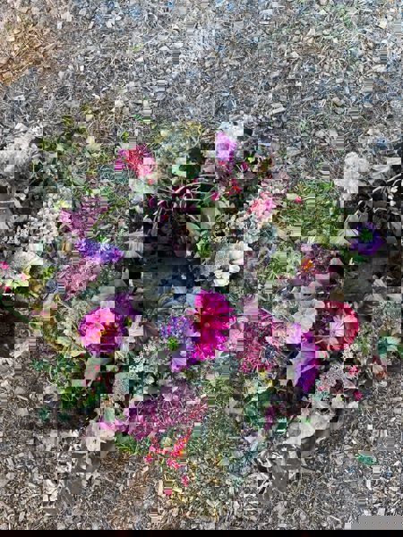 IMG-20251006-WA0051-10